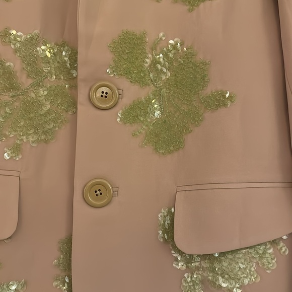 NWT Anthropologie Dhruv Kapoor oversized blazer. Size smalll. - Picture 2 of 11